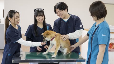 中央動物看護専門学校 PRイメージ1