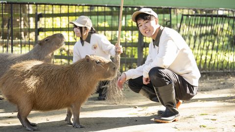 中央動物看護専門学校 PRイメージ2