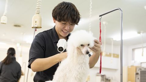 中央動物看護専門学校 PRイメージ3