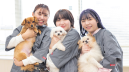 新潟ペット動物専門学校