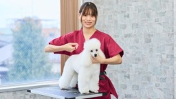 日本ペット＆アニマル専門学校