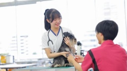 専門学校 ちば愛犬動物フラワー学園