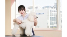 中央動物専門学校