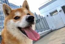 九州動物学院