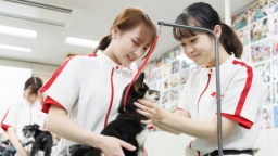 日本動物専門学校