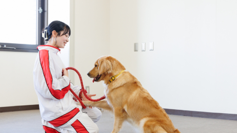 横浜動物専門学校 PRイメージ4