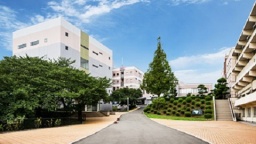 西南女学院大学