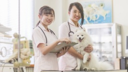 岡山理科大学専門学校