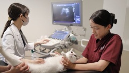 吉田学園動物看護専門学校