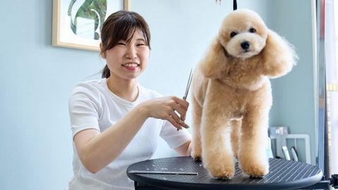 TCA東京ECO動物海洋専門学校 PRイメージ3