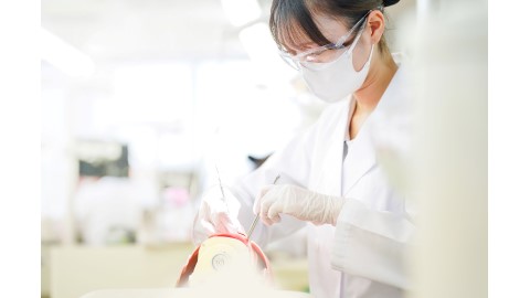 日本歯科大学新潟短期大学 PRイメージ1