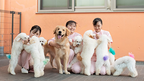 専門学校 東北動物看護学院 PRイメージ3