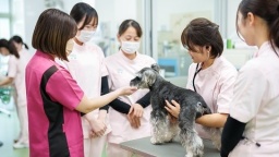広島アニマルケア専門学校