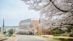 四天王寺大学