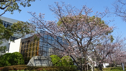 大阪大学歯学部附属歯科技工士学校 PRイメージ1