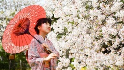 奈良きもの芸術専門学校