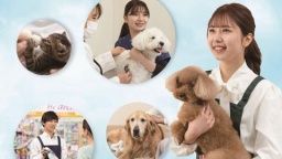 ヤマザキ動物看護専門職短期大学
