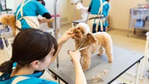 京都動物専門学校 PRイメージ2
