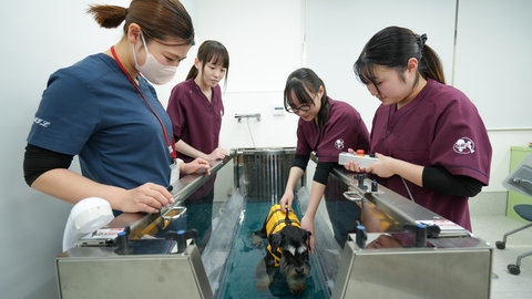 高崎動物専門学校 PRイメージ2