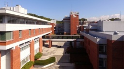 東京薬科大学　生命科学部