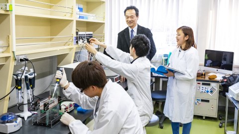 東京薬科大学 生命科学部 | 資料請求・願書請求・学費就職資格 東京薬科大学 生命科学部 | 資料請求・願書請求・学費就職資格