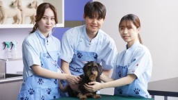 ヤマザキ動物専門学校