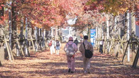 城西国際大学 PRイメージ4