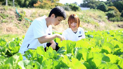 和泉大学(仮称) PRイメージ4