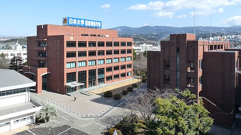 日本大学 国際関係学部 PRイメージ1