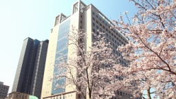 進路を考えはじめるタイミングにぴったり!