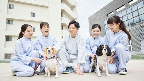 大阪ペピイ動物看護専門学校 就職率、国家試験合格率、共に日本トップクラス！　