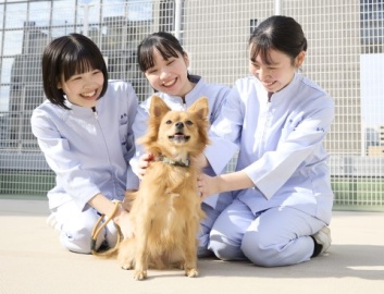 大阪ペピイ動物看護専門学校 動物看護総合学科が生まれ変わりました