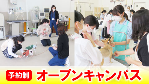 信州松本動物専門学校 新校舎のオープンキャンパスに参加しよう！