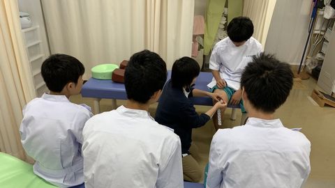 神奈川柔整鍼灸専門学校 柔道整復師の仕事とは？