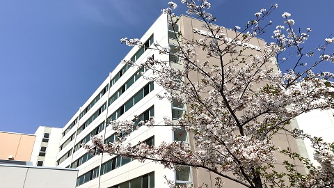 大阪労災看護専門学校 第１１２回看護師国家試験で卒業生全員合格！
