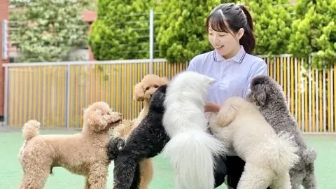 北海道エコ・動物自然専門学校 約100頭の学内犬猫たちと共に学ぶ、担当犬制度！