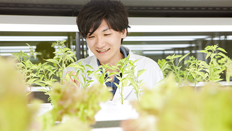 愛甲農業科学専門学校 実際の植物工場を前提としたシステムと設備