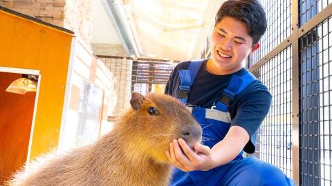 仙台ECO動物海洋専門学校 学校はミニ動物園＆水族館！