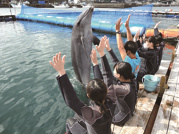 仙台ECO動物海洋専門学校 校外実習が盛りだくさん
