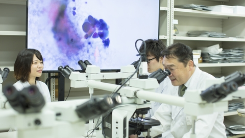 倉敷芸術科学大学 細胞検査士資格認定試験、毎年全国平均より高い合格率