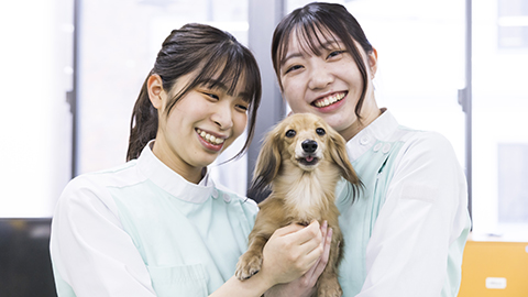 大阪ECO動物海洋専門学校 『愛玩動物看護師』国家資格をめざすことができる