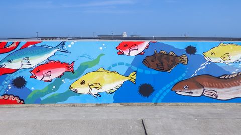東北芸術工科大学 福島県浪江町の漁港・防潮堤に、再興のシンボルとなる壁画を制作