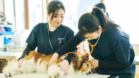 専門学校ビジョナリーアーツ（ペット学科／動物看護学科） 2022年4月より動物看護学科設置！