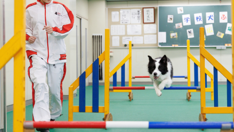 日本動物専門学校 未来のキャンパスライフを体験　オープンキャンパスへどうぞ！