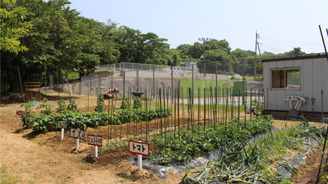 九州栄養福祉大学 自然の生命力を全身で感じられる学内農園