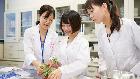 東大阪大学短期大学部 きめ細やかな個別指導と社会で活躍するプロとの連携によって実践力アップ！「実践食物学科栄養士コース」