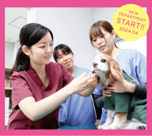 麻布大学 ”愛玩動物看護師”を養成する 「獣医保健看護学科」2024年度新設！