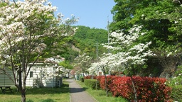 福山キャンパスは福山市の中心街からすぐ近く（福山職業能力開発短期大学校）