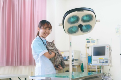沖縄ペットワールド専門学校 沖縄県で唯一*!国家資格「愛玩動物看護師」養成所!