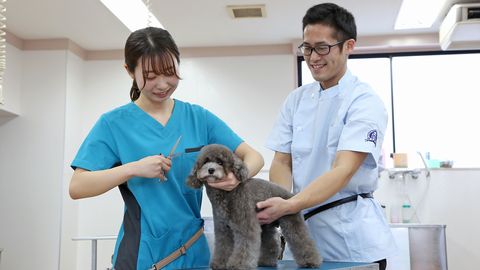 セントラル動物専門学校 活きた経験を積んで「トリミング」の腕を磨く
